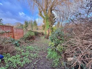 Rear Garden- click for photo gallery